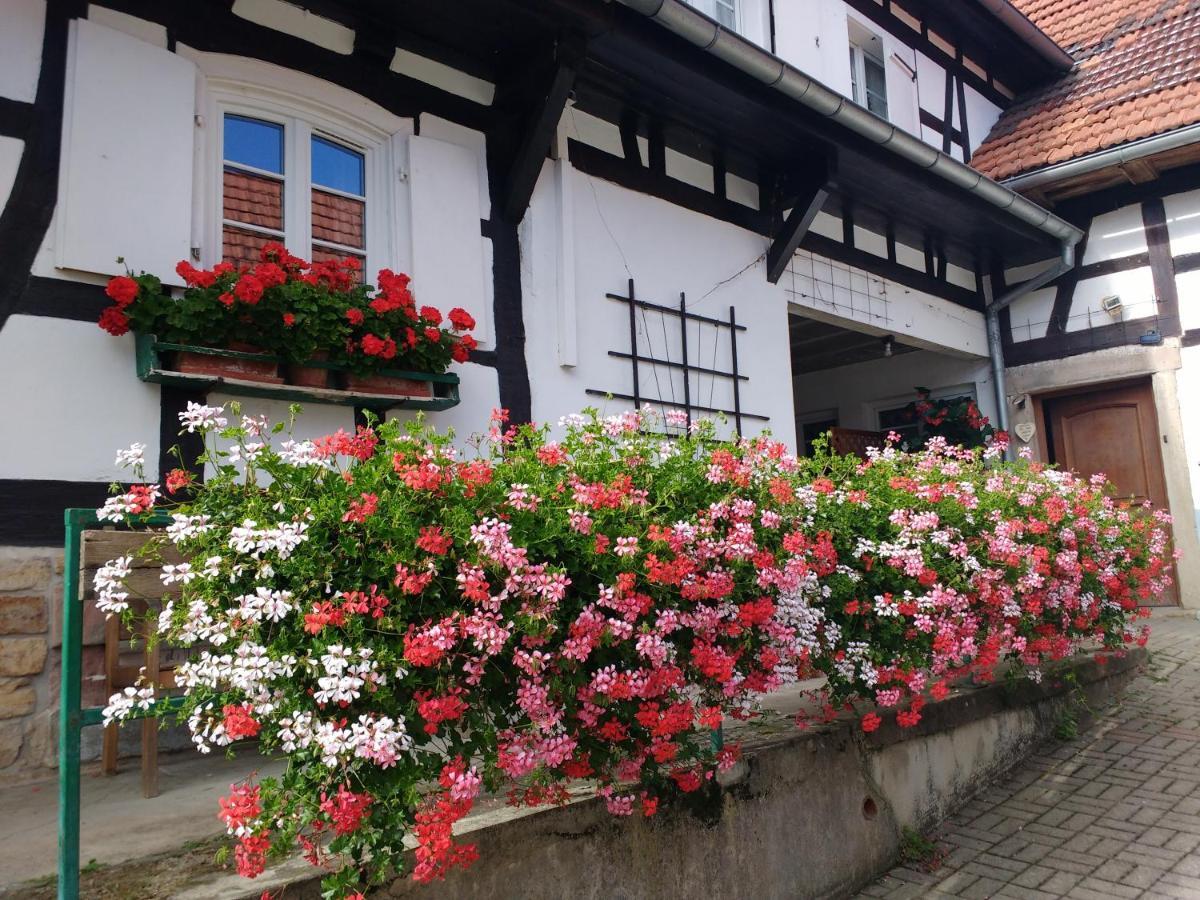 Chambres D'Hotes Sabine Billmann Hunspach Bagian luar foto
